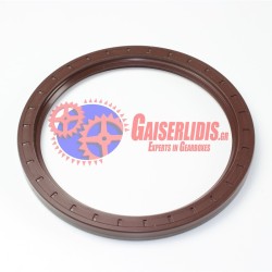 Τσιμούχα Διαφορικού 145x175x13/12 0139979447