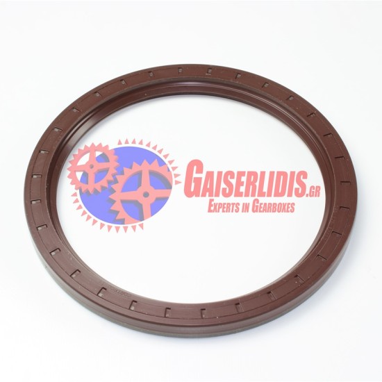 Τσιμούχα Διαφορικού 145x175x13/12 0139979447