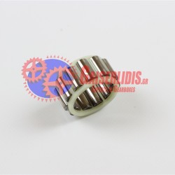 Ρουλεμάν 0219819510