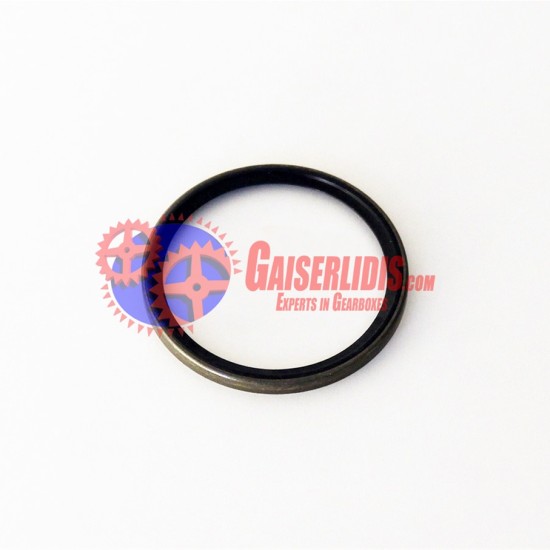 Τσιμούχα Εσωτερική Μπρίζντερεκ 0501320453