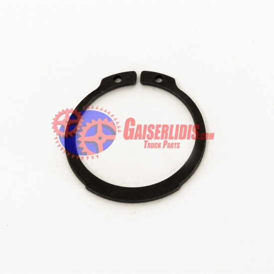 Ασφάλεια Άξονα Retarder 804787