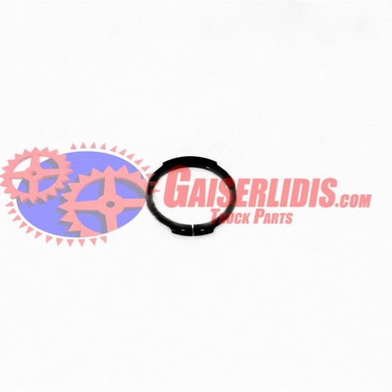 Ασφάλεια 3,00mm 0730303174