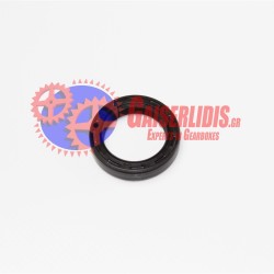 Τσιμουχάκι Πύργου 25x35x7 0634300302