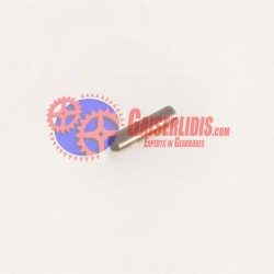 Σωληνάκι Λαδιού 1312304150