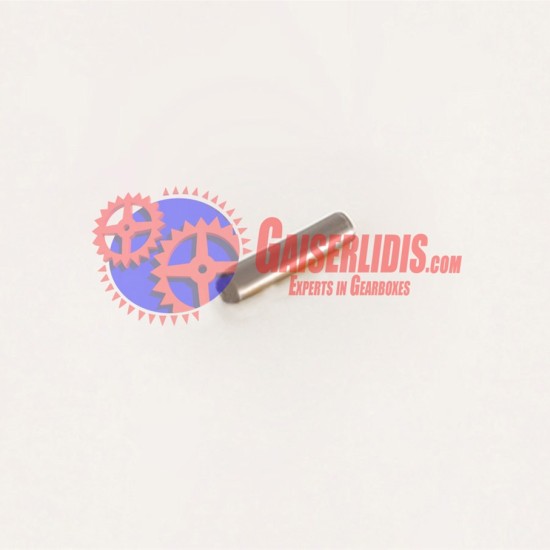 Σωληνάκι Λαδιού 1312304150