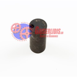 Πειράκι Πλανητικού 1324332016