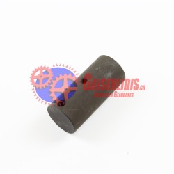 Πειράκι Πλανητικού 1324332016