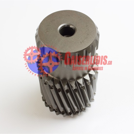 Κουκουνάρα 23δ 1328332030