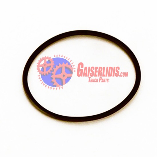 O-Ring 63x3mm 0079974248