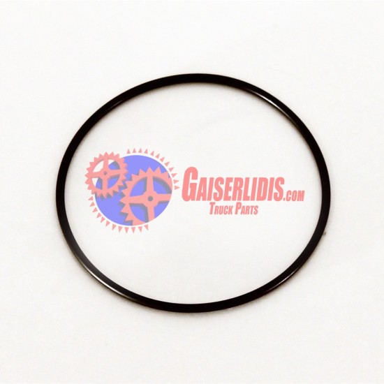 O-Ring Κυλίνδρου Αργό-Γρήγορο 89,5x3mm 0209978948