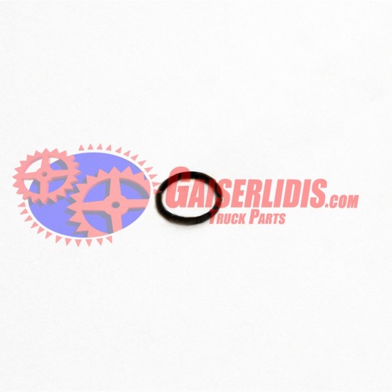 O-Ring 0634313017