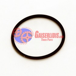 O-Ring Κυλίνδρου Όβερ 67x3 0634313320