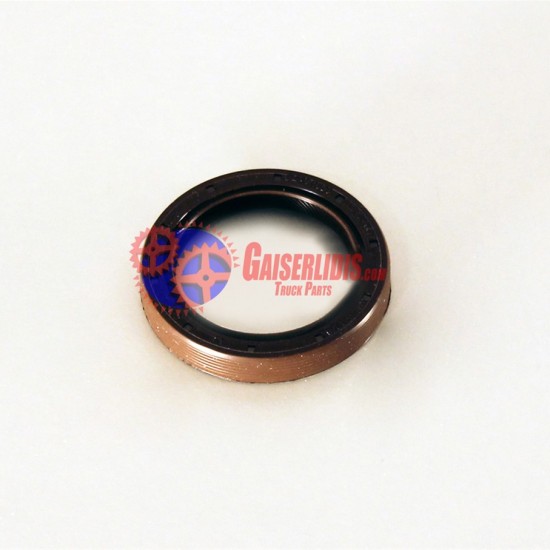 Τσιμούχα 48x65x10 0249979547