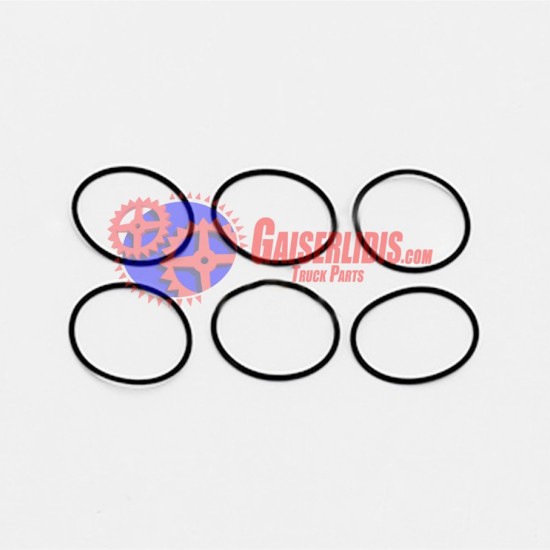 O-Ring 804891