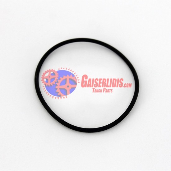 O-Ring 0169976648