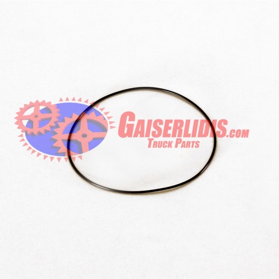 O-Ring 0179976545