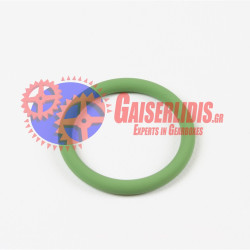 Λαστιχάκι O-Ring 1453919