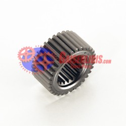 Κουκουνάρα 31δ 8875585