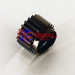 Κουκουνάρα / Ήλιος 21δ 1304304199