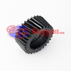 Κουκουνάρα / Ήλιος 28δ 2149583