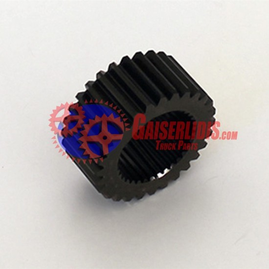 Κουκουνάρα / Ήλιος 28δ 1669449