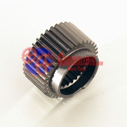 Κουκουνάρα / Ήλιος 34δ 1304304448