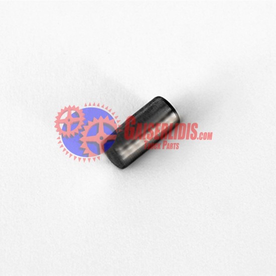 Οδηγός Αντλίας Λαδιού IT 0631306717