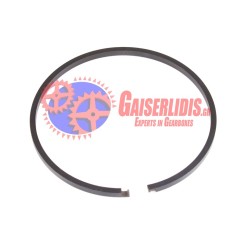 Ελατήριο Στεγανού Αποστάτη 1652820