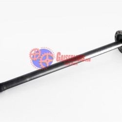 Ημιαξόνιο 20836838