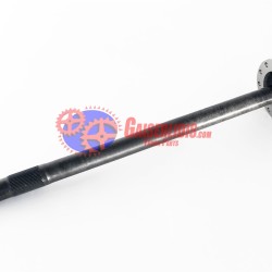 Ημιαξόνιο 42559741