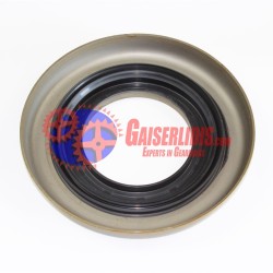 Κάλυμμα Τσιμούχας 1739948