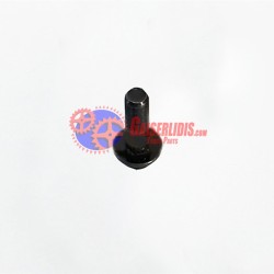 Μπουλόνι Διαφορικού M18x1,5x60 0069907404