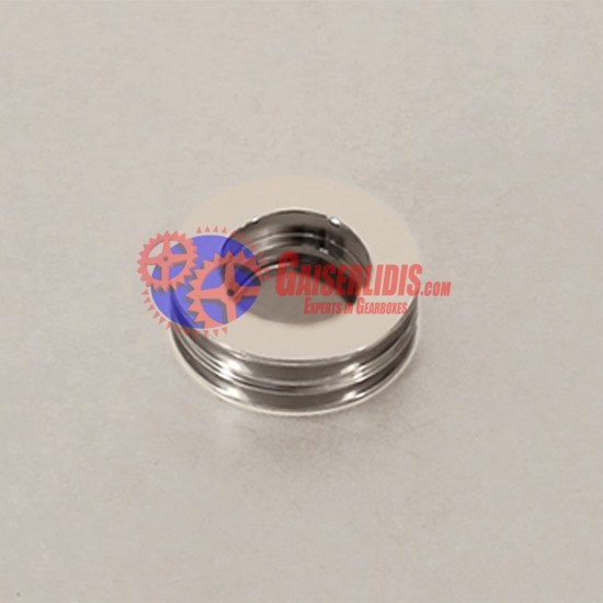 Πιστόνι 1669700