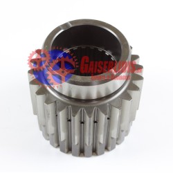 Κουκουνάρα / Ήλιος 24δ 1926235