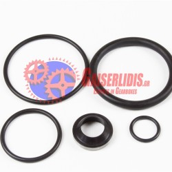 Σετ O-Ring Όβερ GRS/O/H 198956