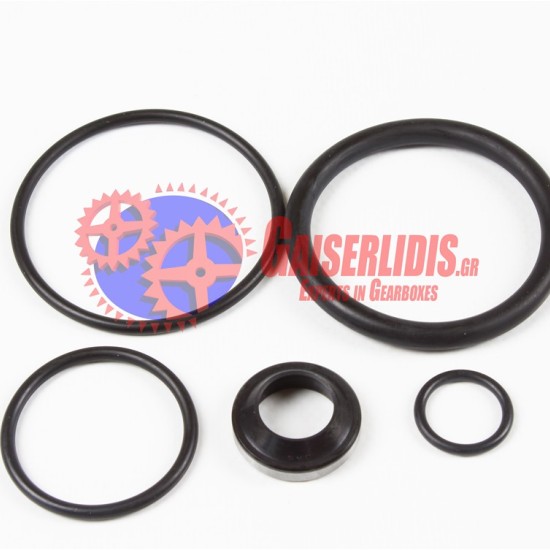Σετ O-Ring Όβερ GRS/O/H 198956