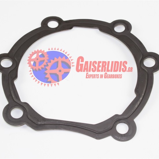 Μεταλλική Φλάντζα Καπακιού Φρένου 20497205