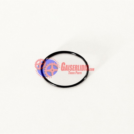 O-Ring 804892