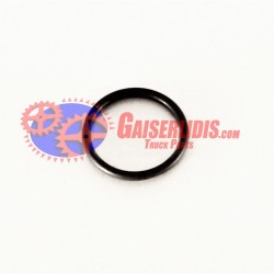 O-Ring 17282381