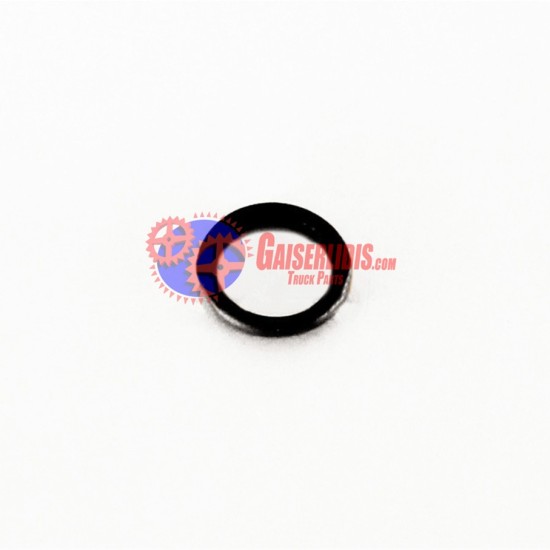O-Ring 4895625