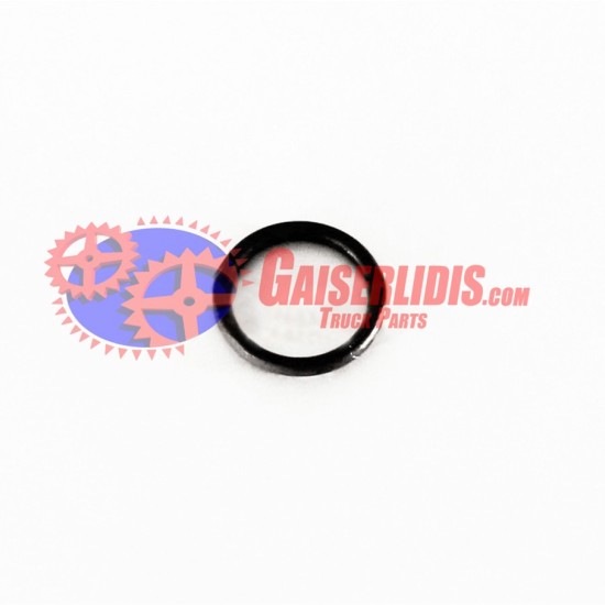 O-Ring 17281981