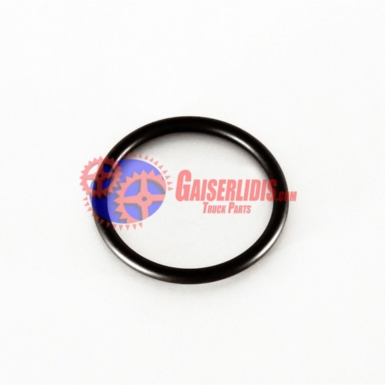 O-Ring 0279973048