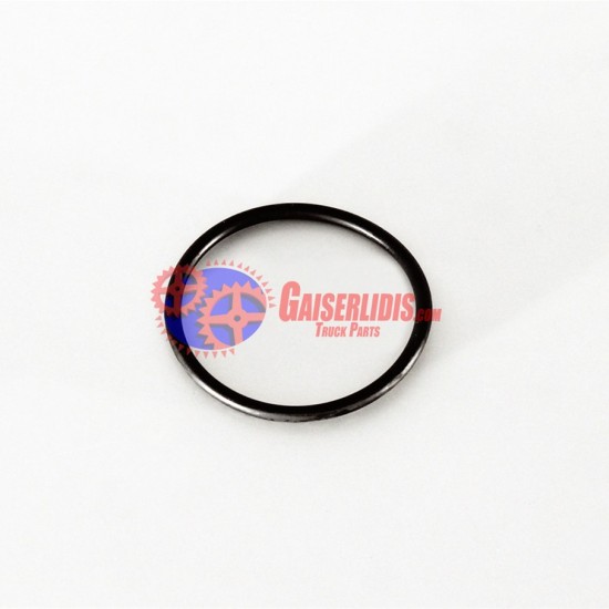 O-Ring 0259975345