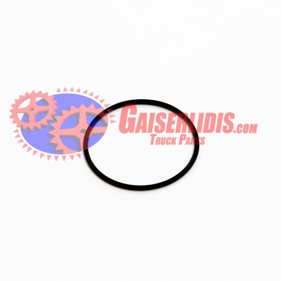 O-Ring 0634313067