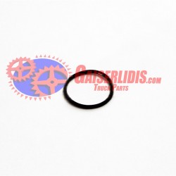 O-Ring 50x4mm 0634313622