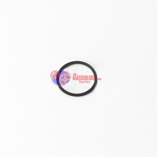 O-Ring 0634316059