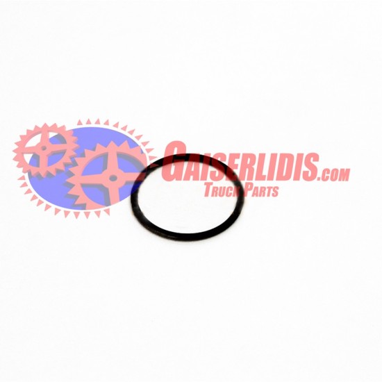 O-Ring 0634100059