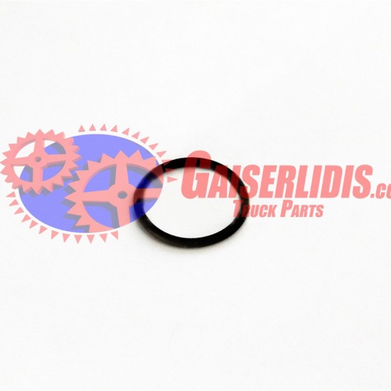 O-Ring 0634313223