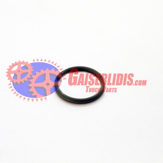 O-Ring 944126