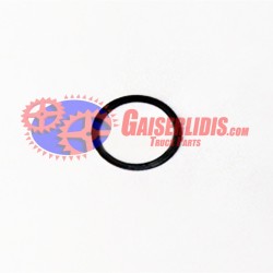 Ροδέλα Γραναζάκι Πλανητικού 8874827